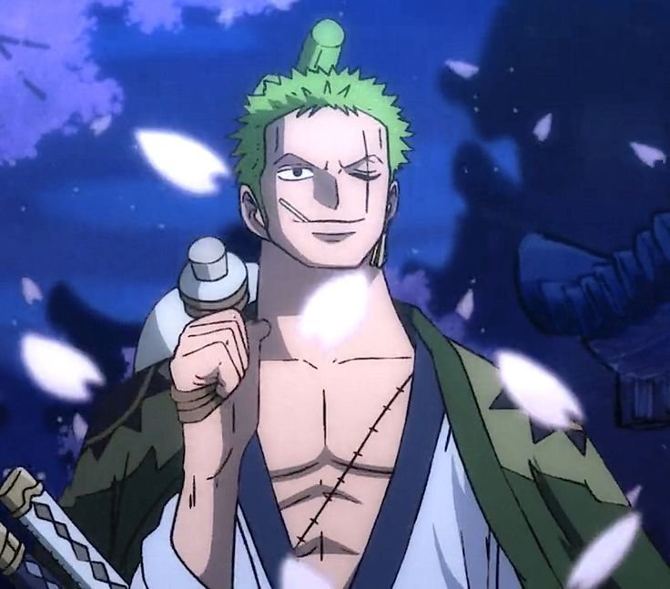 Roronoa Zoro — Image 16